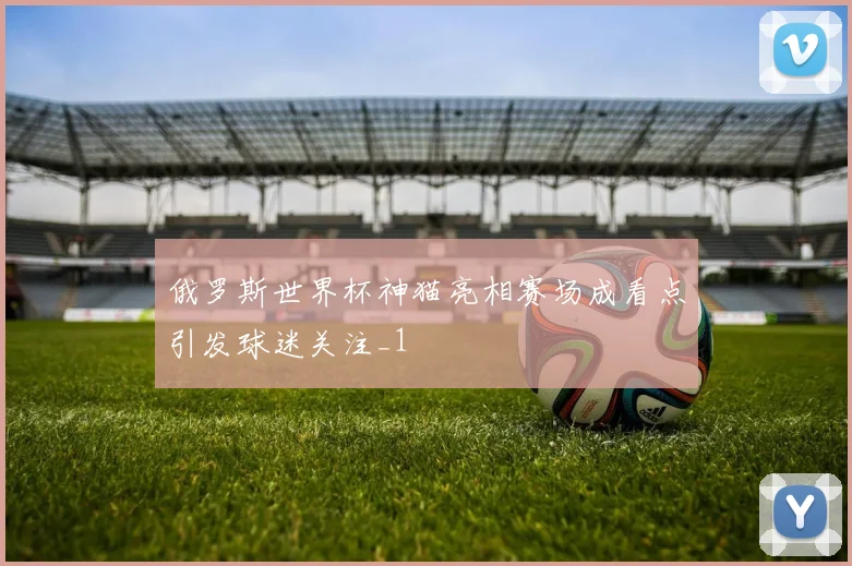 俄罗斯世界杯神猫亮相赛场成看点引发球迷关注_1
