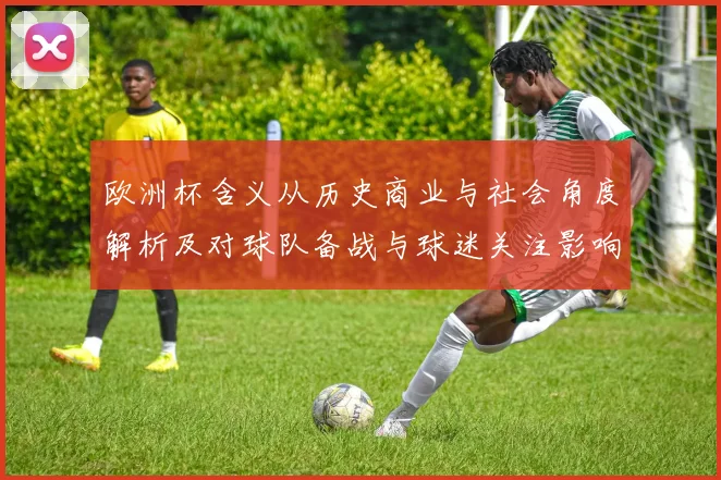欧洲杯含义从历史商业与社会角度解析及对球队备战与球迷关注影响