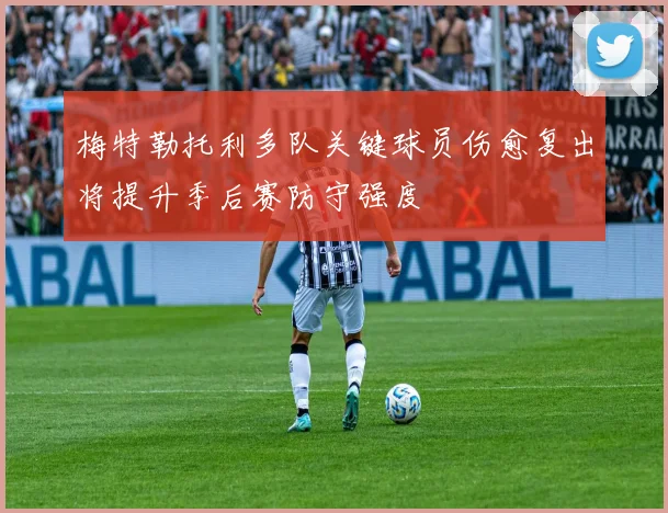 梅特勒托利多队关键球员伤愈复出将提升季后赛防守强度