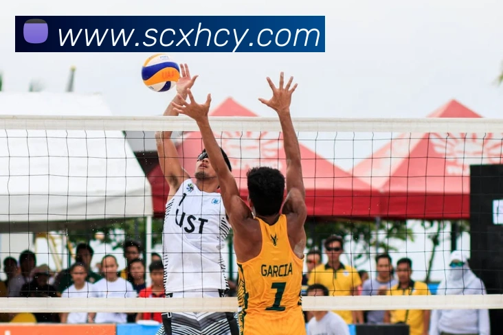 环球体育平台官网平台生态图